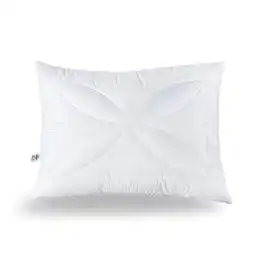 Reiter Reiter Polster Aloe Vera F2615501 Betten Reiter Angebot