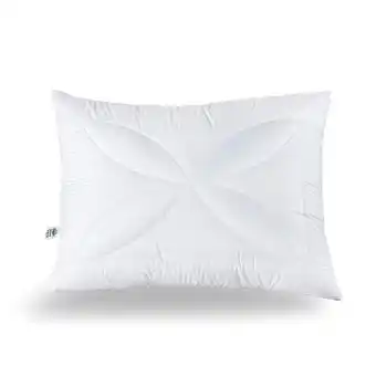 Reiter Reiter Polster Aloe Vera F2615501 Betten Reiter Angebot