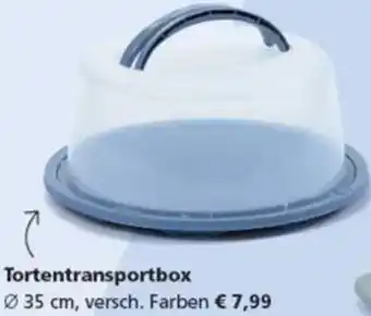 Pagro Diskont Tortentransportbox Angebot