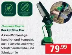 Pagro Diskont Akku-Motorsäge Angebot