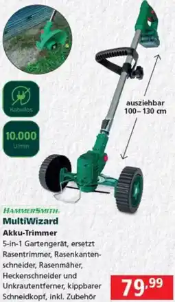 Pagro Diskont Akku-Trimmer Angebot
