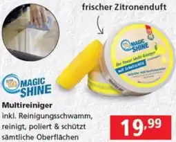 Pagro Diskont Multireiniger Angebot