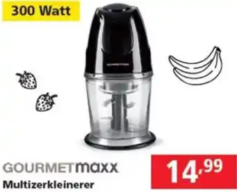 Pagro Diskont Multizerkleinerer Angebot