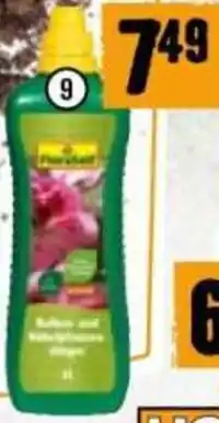 Hornbach Balkon- & Kübelpflanzen- dünger Angebot