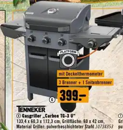 Hornbach Gasgriller Carbon Angebot