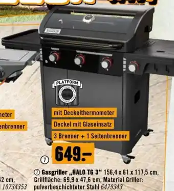 Hornbach Gasgriller halo Angebot