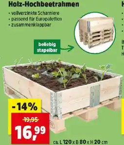 Thomas Philipps Holz-Hochbeetrahmen Angebot