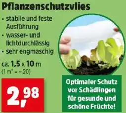 Thomas Philipps Pflanzenschutzvlies Angebot