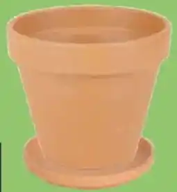Thomas Philipps Terrakotta- Blumenkübel Angebot