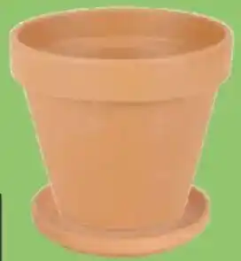 Thomas Philipps Terrakotta- Blumenkübel Angebot