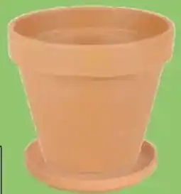 Thomas Philipps Terrakotta- Blumenkübel Angebot