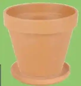 Thomas Philipps Terrakotta- Blumenkübel Angebot