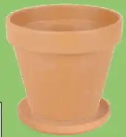 Thomas Philipps Terrakotta- Blumenkübel Angebot