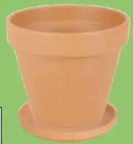 Thomas Philipps Terrakotta- Blumenkübel Angebot