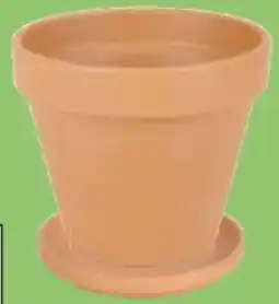Thomas Philipps Terrakotta- Blumenkübel Angebot
