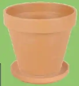 Thomas Philipps Terrakotta- Blumenkübel Angebot