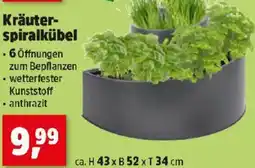 Thomas Philipps Kräuter- spiralkübel Angebot