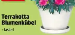 Thomas Philipps Terrakotta Blumenkübel Angebot