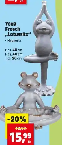 Thomas Philipps Yoga Frosch Lotussitz Magnesia Angebot