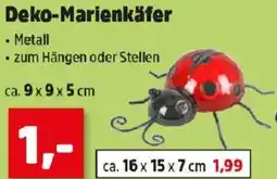 Thomas Philipps Deko-Marienkäfer Angebot