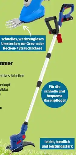 Thomas Philipps Akku-Rasentrimmer Angebot
