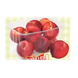 Maximarkt Nektarinen Maximarkt Angebot