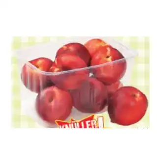 Maximarkt Nektarinen Maximarkt Angebot
