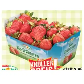 Maximarkt Bio-Erdbeeren Maximarkt Angebot