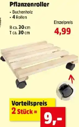 Thomas Philipps Pflanzenroller Angebot