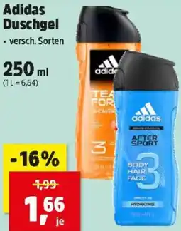 Thomas Philipps Duschgel Angebot