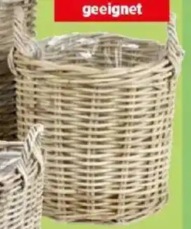 Thomas Philipps Weiden- korb Angebot