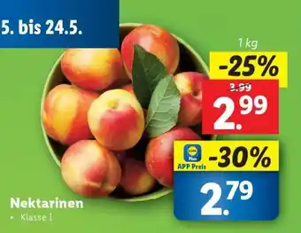 Lidl Nektarinen Angebot