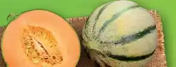 Lidl Honig-Cantaloupe-Melone Angebot