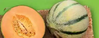 Lidl Honig-Cantaloupe-Melone Angebot