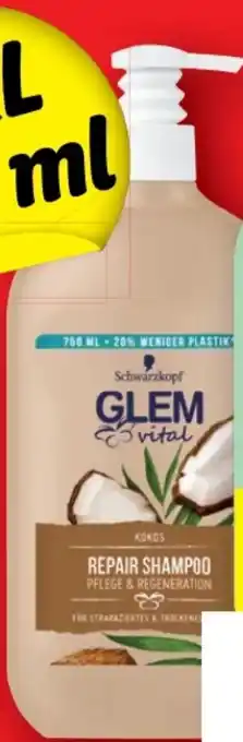 Lidl Schwarzkopf Glem Vital Shampoo Angebot