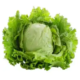 MPreis Romanischer Salat MPREIS Angebot