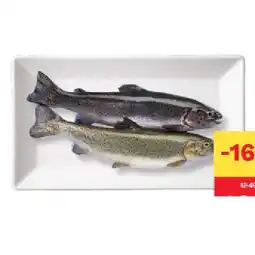 MPreis Eisvogel ASC Forelle ganz frisch MPREIS Angebot