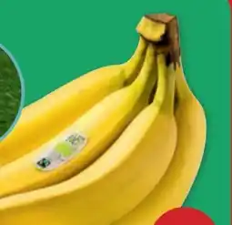 PENNY Echt Bio Bananen Angebot
