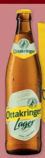PENNY Ottakringer Lager Angebot
