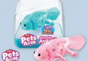 PENNY Zuru Pets Alive Robo Fish Axolotl Angebot