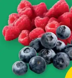 PENNY Beeren Mix Angebot