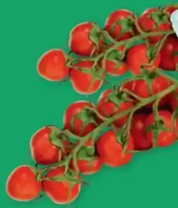 PENNY Ich bin Österreich Cherrytomaten Angebot