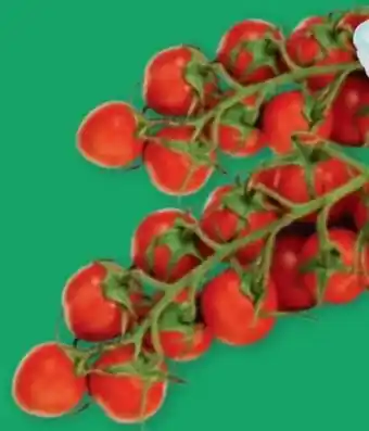 PENNY Ich bin Österreich Cherrytomaten Angebot
