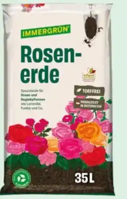 Lagerhaus Immergrün Rosenerde Angebot