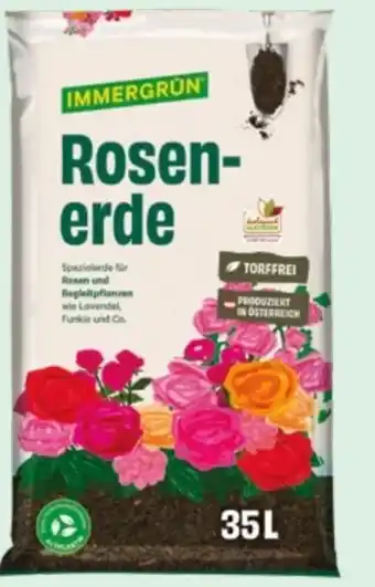 Lagerhaus Immergrün Rosenerde Angebot