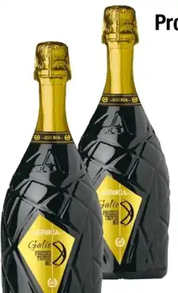 Maximarkt Astoria Galie Prosecco Treviso Angebot