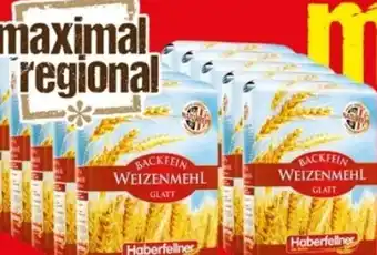 Maximarkt Haberfellner Backfein Weizenmehl T480 Angebot