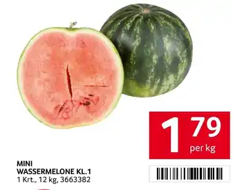 Transgourmet Mini wassermelone kl.1 Angebot