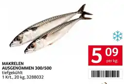 Transgourmet Makrelen ausgenommen Angebot