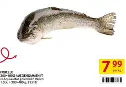 Transgourmet Forelle 300-400g ausgenommen it Angebot
